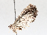  ( - BIOUG62723-C07)  @11 [ ] CreativeCommons - Attribution (2021) CBG Photography Group Centre for Biodiversity Genomics
