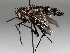  ( - BIOUG64457-E04)  @11 [ ] CreativeCommons - Attribution (2021) CBG Photography Group Centre for Biodiversity Genomics