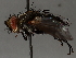  ( - BIOUG64457-E12)  @11 [ ] CreativeCommons - Attribution (2021) CBG Photography Group Centre for Biodiversity Genomics