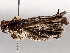  ( - BIOUG64458-H04)  @11 [ ] CreativeCommons - Attribution (2021) CBG Photography Group Centre for Biodiversity Genomics