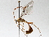  ( - BIOUG64459-A12)  @11 [ ] CreativeCommons - Attribution (2021) CBG Photography Group Centre for Biodiversity Genomics