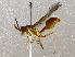  ( - BIOUG64460-A02)  @11 [ ] CreativeCommons - Attribution (2021) Centre for Biodiversity Genomics Centre for Biodiversity Genomics