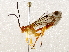  ( - BIOUG64460-B03)  @11 [ ] CreativeCommons - Attribution (2021) Centre for Biodiversity Genomics Centre for Biodiversity Genomics