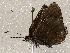 ( - BIOUG64460-E07)  @11 [ ] CreativeCommons - Attribution (2021) Centre for Biodiversity Genomics Centre for Biodiversity Genomics