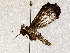  ( - BIOUG64460-E11)  @11 [ ] CreativeCommons - Attribution (2021) Centre for Biodiversity Genomics Centre for Biodiversity Genomics