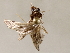  ( - BIOUG64460-F06)  @11 [ ] CreativeCommons - Attribution (2021) Centre for Biodiversity Genomics Centre for Biodiversity Genomics