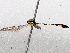  ( - BIOUG71252-H09)  @11 [ ] CreativeCommons - Attribution (2021) CBG Photography Group Centre for Biodiversity Genomics
