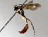 ( - BIOUG71253-C11)  @11 [ ] CreativeCommons - Attribution (2021) CBG Photography Group Centre for Biodiversity Genomics