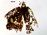  ( - BIOUG73018-B01)  @11 [ ] CreativeCommons - Attribution (2021) CBG Photography Group Centre for Biodiversity Genomics