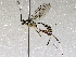  ( - BIOUG73018-G07)  @11 [ ] CreativeCommons - Attribution (2021) CBG Photography Group Centre for Biodiversity Genomics