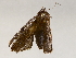  ( - BIOUG62724-D08)  @11 [ ] CreativeCommons - Attribution (2021) Centre for Biodiversity Genomics Centre for Biodiversity Genomics