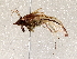  ( - BIOUG62724-E08)  @11 [ ] CreativeCommons - Attribution (2021) Centre for Biodiversity Genomics Centre for Biodiversity Genomics