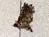  ( - BIOUG62724-E09)  @11 [ ] CreativeCommons - Attribution (2021) Centre for Biodiversity Genomics Centre for Biodiversity Genomics
