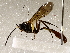  ( - BIOUG62724-H03)  @13 [ ] CreativeCommons - Attribution (2021) Centre for Biodiversity Genomics Centre for Biodiversity Genomics