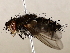  ( - BIOUG62725-A08)  @11 [ ] CreativeCommons - Attribution (2021) CBG Photography Group Centre for Biodiversity Genomics