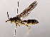  ( - BIOUG64398-B01)  @11 [ ] CreativeCommons - Attribution (2021) CBG Photography Group Centre for Biodiversity Genomics