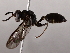  ( - BIOUG64398-B03)  @11 [ ] CreativeCommons - Attribution (2021) CBG Photography Group Centre for Biodiversity Genomics