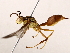  ( - BIOUG64400-D04)  @11 [ ] CreativeCommons - Attribution (2021) CBG Photography Group Centre for Biodiversity Genomics