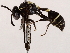  ( - BIOUG64400-F10)  @11 [ ] CreativeCommons - Attribution (2021) CBG Photography Group Centre for Biodiversity Genomics