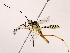  ( - BIOUG64400-G02)  @11 [ ] CreativeCommons - Attribution (2021) CBG Photography Group Centre for Biodiversity Genomics