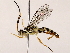  ( - BIOUG64400-G05)  @11 [ ] CreativeCommons - Attribution (2021) CBG Photography Group Centre for Biodiversity Genomics