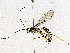  ( - BIOUG72910-C12)  @11 [ ] CreativeCommons - Attribution (2021) CBG Photography Group Centre for Biodiversity Genomics