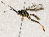  ( - BIOUG72910-F09)  @11 [ ] CreativeCommons - Attribution (2021) CBG Photography Group Centre for Biodiversity Genomics