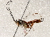  ( - BIOUG72910-G02)  @11 [ ] CreativeCommons - Attribution (2021) CBG Photography Group Centre for Biodiversity Genomics