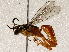  ( - BIOUG72910-G04)  @11 [ ] CreativeCommons - Attribution (2021) CBG Photography Group Centre for Biodiversity Genomics