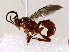  ( - BIOUG72912-A06)  @11 [ ] CreativeCommons - Attribution (2021) CBG Photography Group Centre for Biodiversity Genomics
