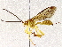  ( - BIOUG73020-F01)  @11 [ ] CreativeCommons - Attribution (2021) CBG Photography Group Centre for Biodiversity Genomics