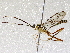  ( - BIOUG73020-F08)  @11 [ ] CreativeCommons - Attribution (2021) CBG Photography Group Centre for Biodiversity Genomics