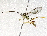  ( - BIOUG73020-G12)  @11 [ ] CreativeCommons - Attribution (2021) CBG Photography Group Centre for Biodiversity Genomics