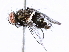  ( - BIOUG73021-D12)  @11 [ ] CreativeCommons - Attribution (2021) CBG Photography Group Centre for Biodiversity Genomics