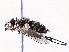  ( - BIOUG73021-E02)  @11 [ ] CreativeCommons - Attribution (2021) CBG Photography Group Centre for Biodiversity Genomics