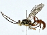  ( - BIOUG85460-D09)  @11 [ ] CreativeCommons - Attribution (2022) CBG Photography Group Centre for Biodiversity Genomics