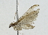  ( - BIOUG85485-C01)  @11 [ ] CreativeCommons - Attribution (2022) CBG Photography Group Centre for Biodiversity Genomics