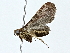  ( - BIOUG89943-C11)  @11 [ ] CreativeCommons - Attribution (2022) CBG Photography Group Centre for Biodiversity Genomics