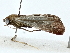  ( - BIOUG89943-D09)  @11 [ ] CreativeCommons - Attribution (2022) CBG Photography Group Centre for Biodiversity Genomics