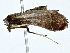  ( - BIOUG89943-D10)  @11 [ ] CreativeCommons - Attribution (2022) CBG Photography Group Centre for Biodiversity Genomics