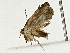  ( - BIOUG89943-E01)  @11 [ ] CreativeCommons - Attribution (2022) CBG Photography Group Centre for Biodiversity Genomics