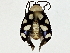  ( - BIOUG89943-H03)  @11 [ ] CreativeCommons - Attribution (2022) CBG Photography Group Centre for Biodiversity Genomics