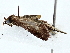  ( - BIOUG89944-B08)  @11 [ ] CreativeCommons - Attribution (2022) CBG Photography Group Centre for Biodiversity Genomics