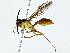  ( - BIOUG89944-E05)  @11 [ ] CreativeCommons - Attribution (2022) CBG Photography Group Centre for Biodiversity Genomics