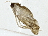  ( - BIOUG89944-H10)  @11 [ ] CreativeCommons - Attribution (2022) CBG Photography Group Centre for Biodiversity Genomics