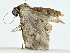  ( - BIOUG89945-F02)  @11 [ ] CreativeCommons - Attribution (2022) CBG Photography Group Centre for Biodiversity Genomics