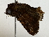  ( - BIOUG89945-H03)  @11 [ ] CreativeCommons - Attribution (2022) CBG Photography Group Centre for Biodiversity Genomics