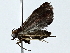  ( - BIOUG89946-D10)  @11 [ ] CreativeCommons - Attribution (2022) CBG Photography Group Centre for Biodiversity Genomics
