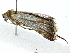  ( - BIOUG89946-E09)  @11 [ ] CreativeCommons - Attribution (2022) CBG Photography Group Centre for Biodiversity Genomics
