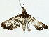  ( - BIOUG91402-B02)  @11 [ ] CreativeCommons - Attribution (2022) CBG Photography Group Centre for Biodiversity Genomics